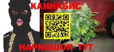 сатива Сланцы