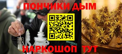 сатива Сланцы