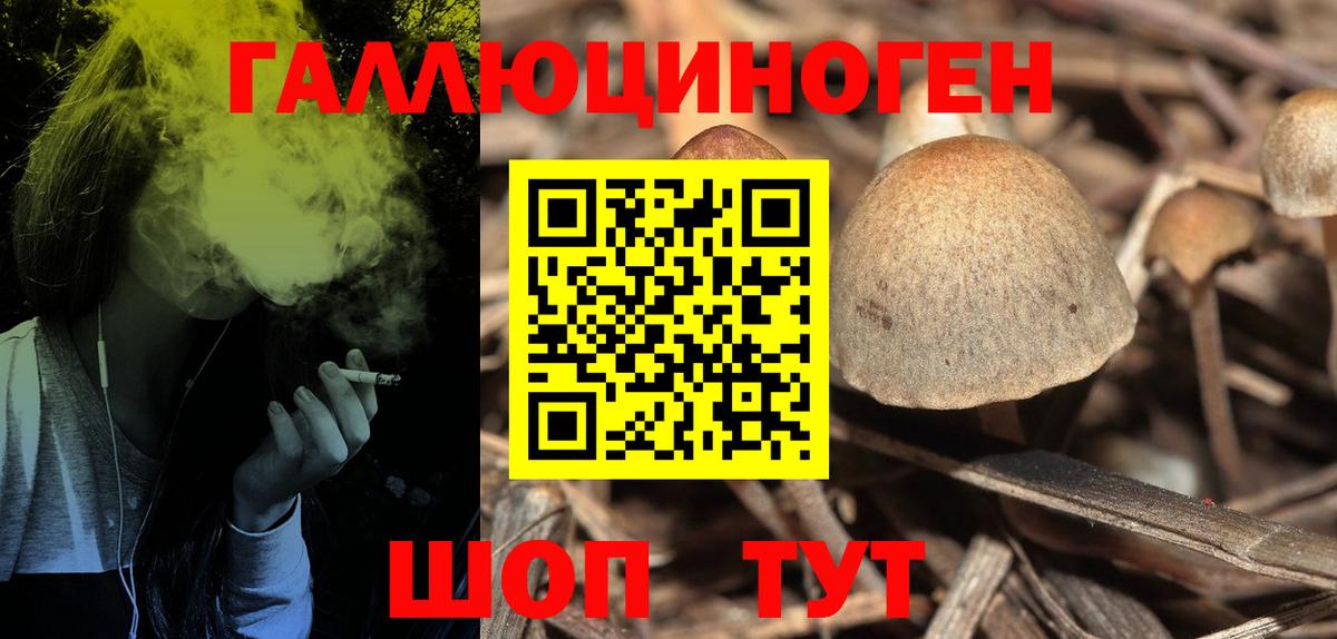 магазин продажи   Галлюциногенные грибы MAGIC MUSHROOMS  Вход с VPN  Псилоцибиновые грибы Psilocybine cubensis  Сертолово 